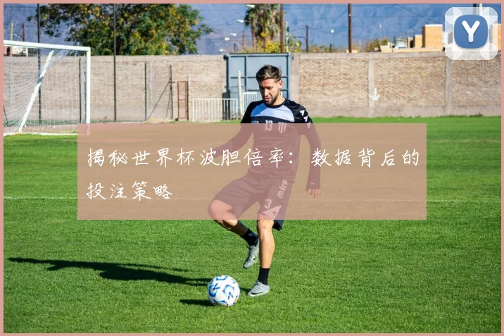 揭秘世界杯波胆倍率：数据背后的投注策略